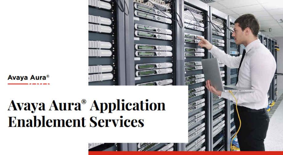 Avaya Aura® Application Enablement Services ( AES )